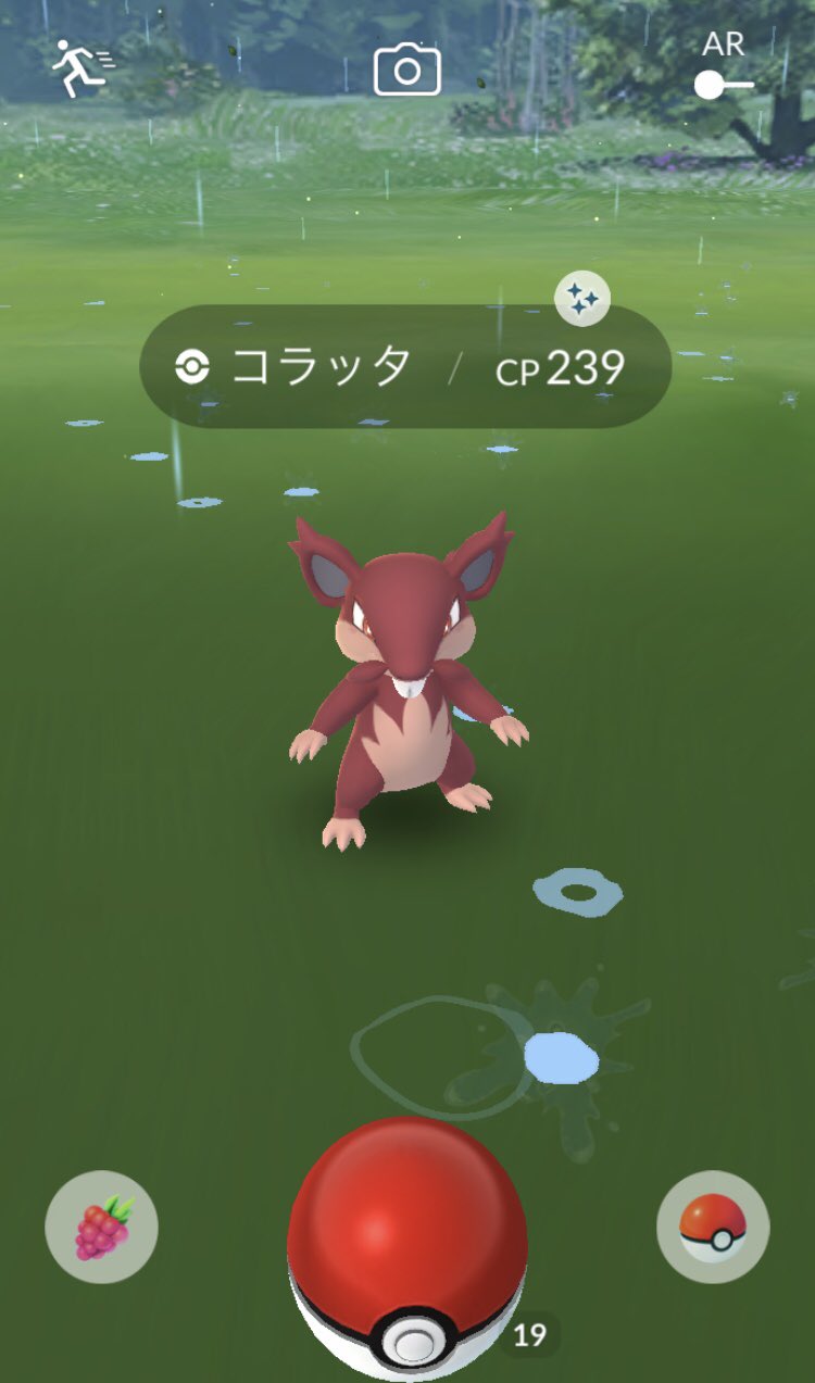 アローラコラッタ Twitter Search Twitter
