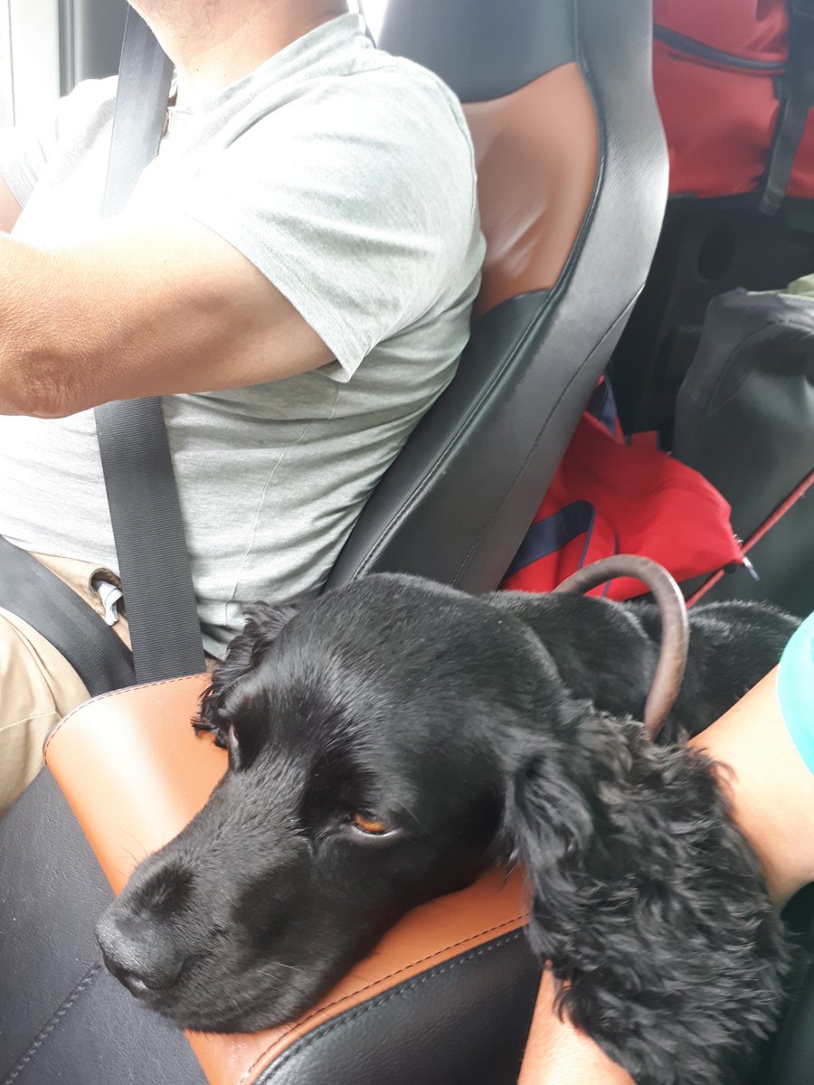 ChrisLittle66's tweet photo. @Rick_Stein @TheCornishArms We're on our way to Mawgan Porth with Dexter Dog and will definitely pay @TheCornishArms a return visit 🐾🍷 https://t.co/R6Rn73RVuF