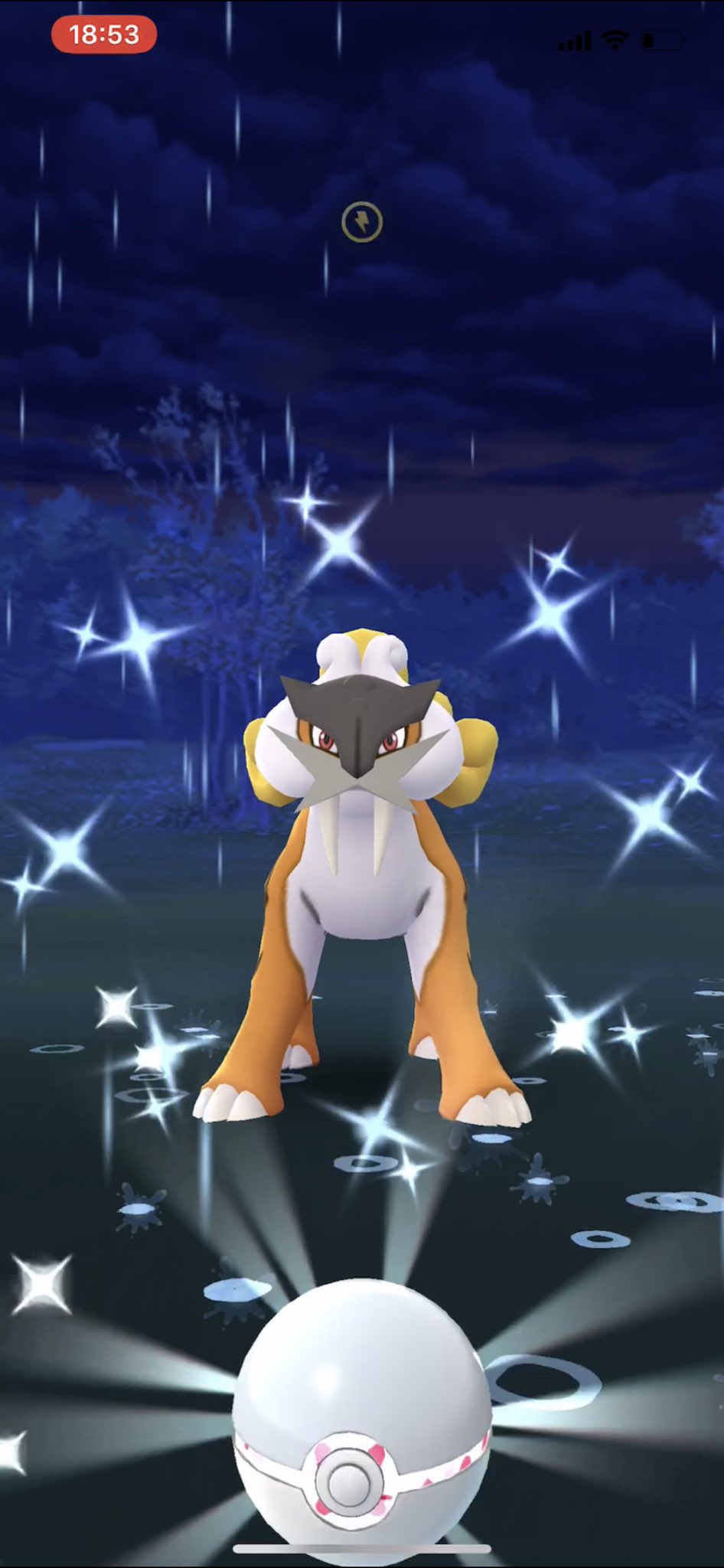 Pokegoa A Twitter ライコウ色違い1 ライコウ 色違い Pokemongo ポケモンgo ライコウレイドデイ 終了時間ギリギリの最後のレイドで無事出てくれました T Co Trjjb3gviz Twitter