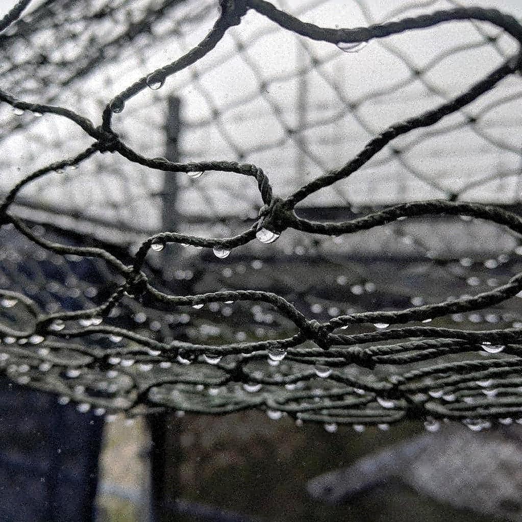 WillMinor09's tweet photo. What is 1️⃣ BIG Difference about #NettingPros #netcommanders Durability from the others? We use #DURADip UV ALL WEATHER PAINT TREATMENT for our Outdoor #BattingCages #BarrierNetting #Backstop & #Scoreboard Netting. ⚾🥎🏈🏐🥍⚽🥈
📧 info@nettingpros.com
🌐 https://t.co/a2AkFZUiqY https://t.co/CTd0PGp8lu