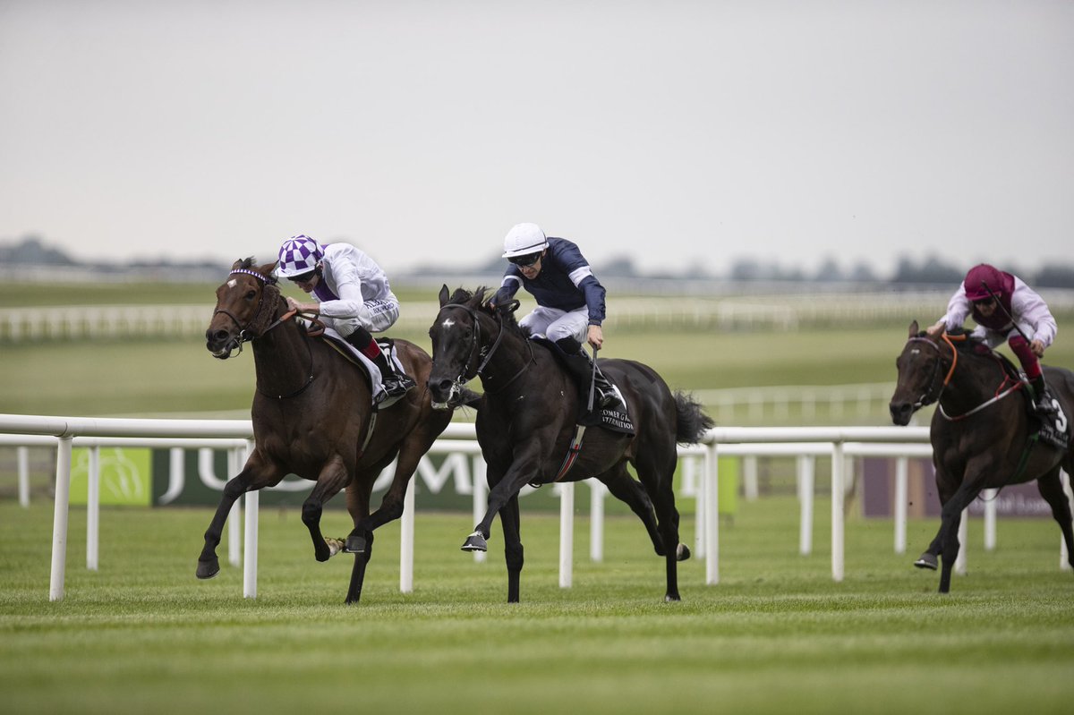 NavanRacecourse's tweet image. Great to see the form of our Group 3 Vintage Crop Stakes working out so well 💥 

After Vintage Crop winner Master Of Reality’s super 3rd in the Grp 1 Ascot Gold Cup. Twilight Payment who was fourth behind him in the Vintage Crop wins the Grp 2 Curragh Cup yesterday.

#NavanForm