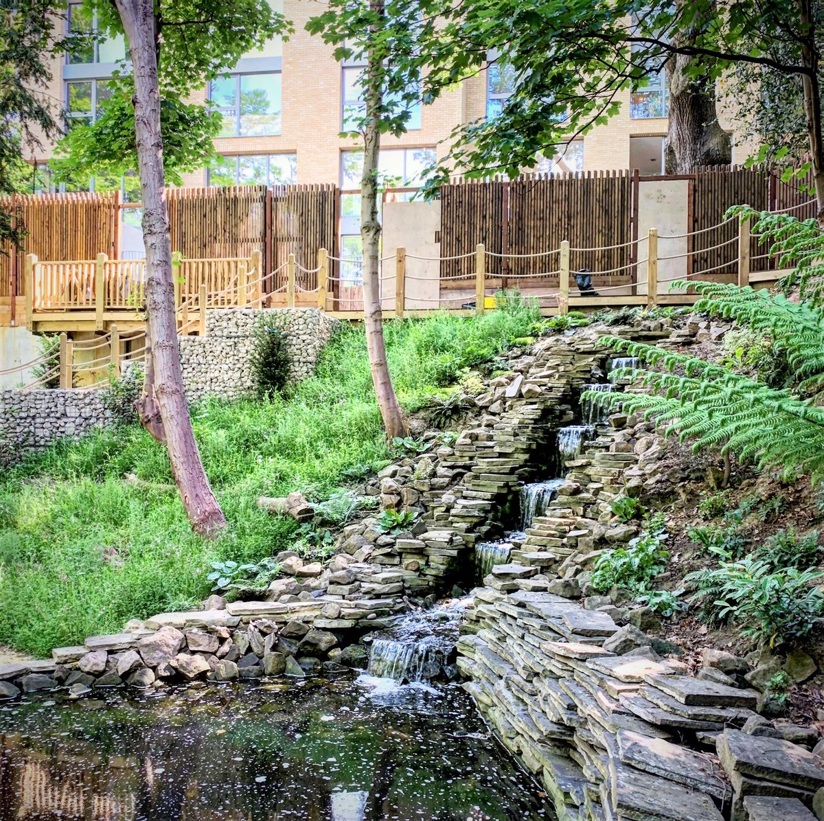 LondonLightbox's tweet photo. Really fancy a dip in the pond at Edward Milner Terrace right now...🥵 https://t.co/HNRkYPHYrG