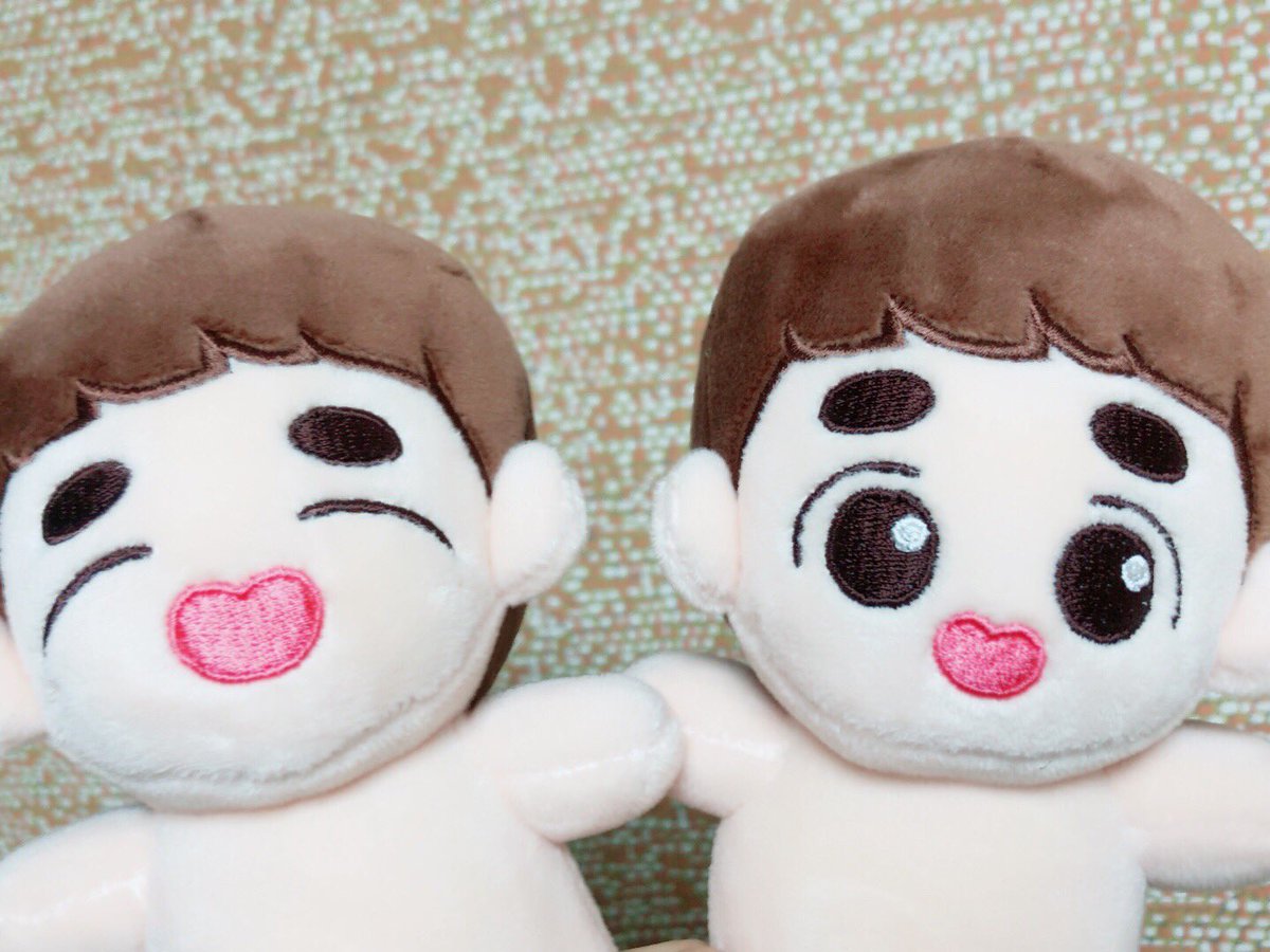 HyoeunSong's tweet photo. @haddu_bbangddu  너무너무 귀여운 아가들 잘 도착했습니다~ 이뻐서 받자마자 울었어요ㅠㅠ 감사합니다（≧∇≦）@exo @D_O @weareoneEXO https://t.co/k8p2q4YfTL