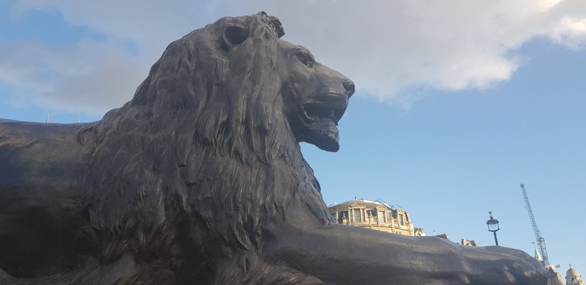 Jane_C_Smith's tweet photo. Anniversary of a tragedy - #WeRememberCecil - and the tragedies continue apace. 1,000 #lions killed for 'sport' last year. When will trophy hunting be banned? Good luck to everyone protesting in Trafalgar Square #London today xxxx #BanTrophyHunting https://t.co/OeeKxQhXOX