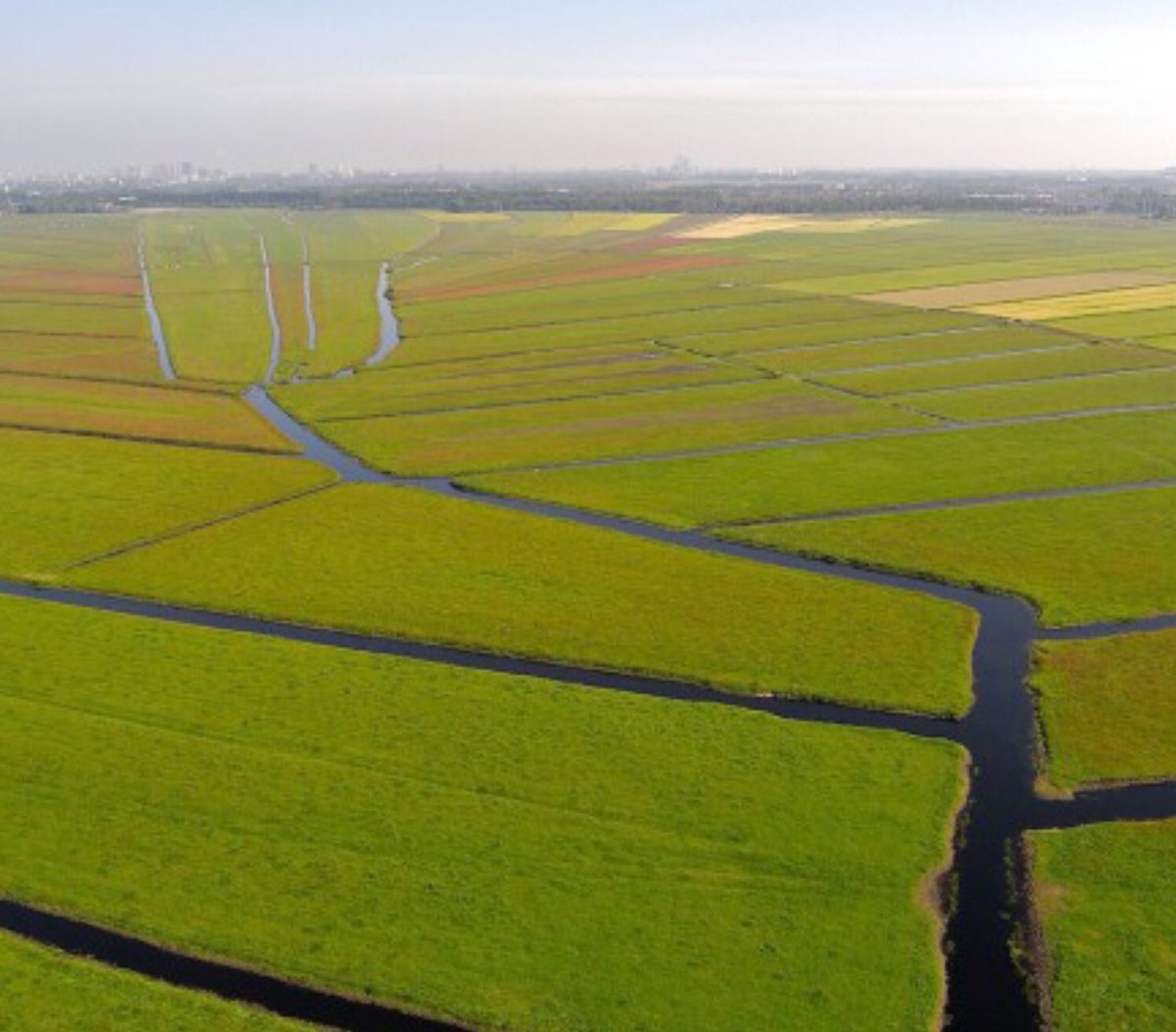 8. So, I know you’ve seen this photo of Reach Lode before. See how the lode is embanked? Why build the banks? They’re not essential to keep the water in the lode as the Dutch polder landscape on the R shows ( https://www.collectiefnhz.nl/amstelland/ronde-hoep). I think it is to keep water out of the fen.