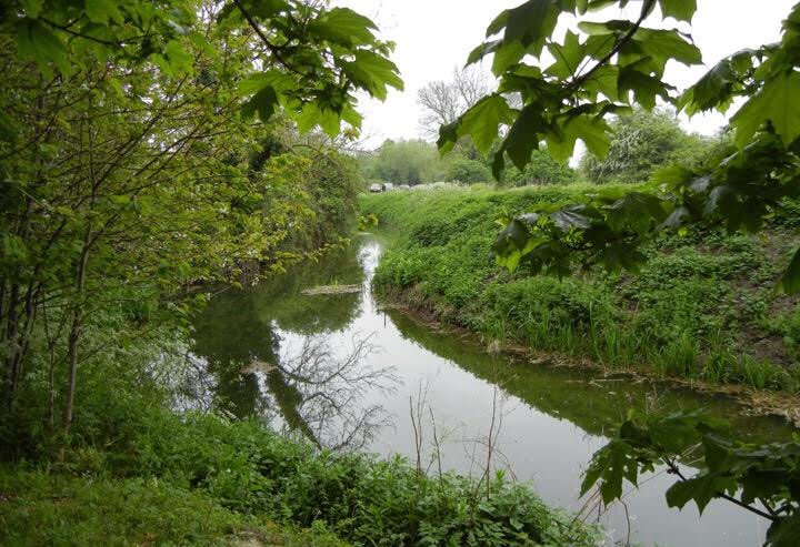 9. And have another look at the catchwater (actually, it’s Reach, not Burwell  #blush): the high ground with the villageis on the L and the fen on the R - on the other side of that *massive* bank. It has to be big enough to keep the catchwater in place, it’s true. But ...