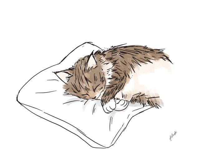にゃんねるのtwitterイラスト検索結果 にゃんねるのtwitterイラスト検索結果
