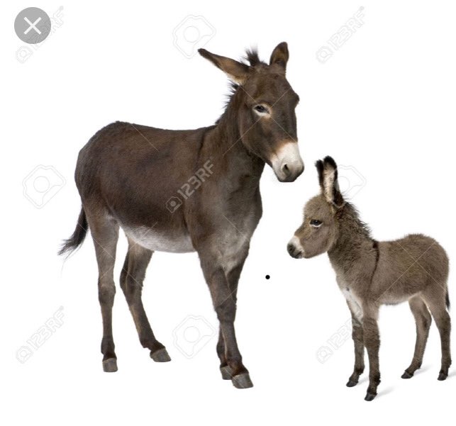 2morepoints's tweet image. 