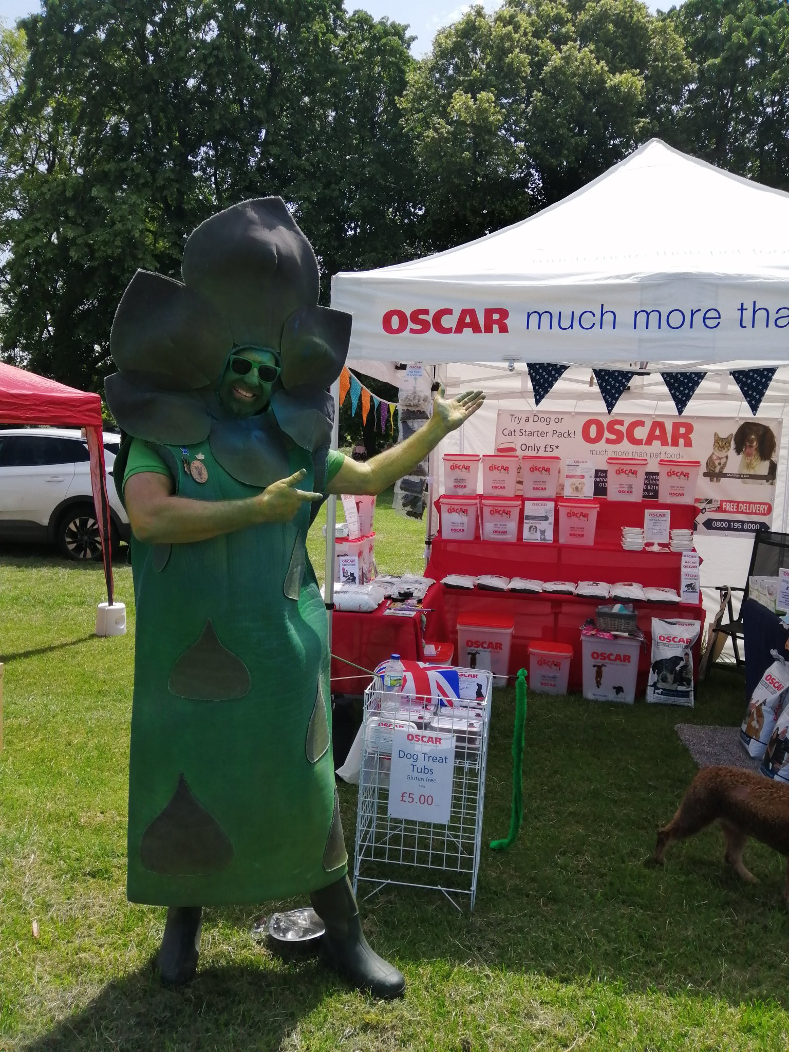 Oscars Vale of Evesham (Pet Food) on Twitter "Gus the Asparagus Man