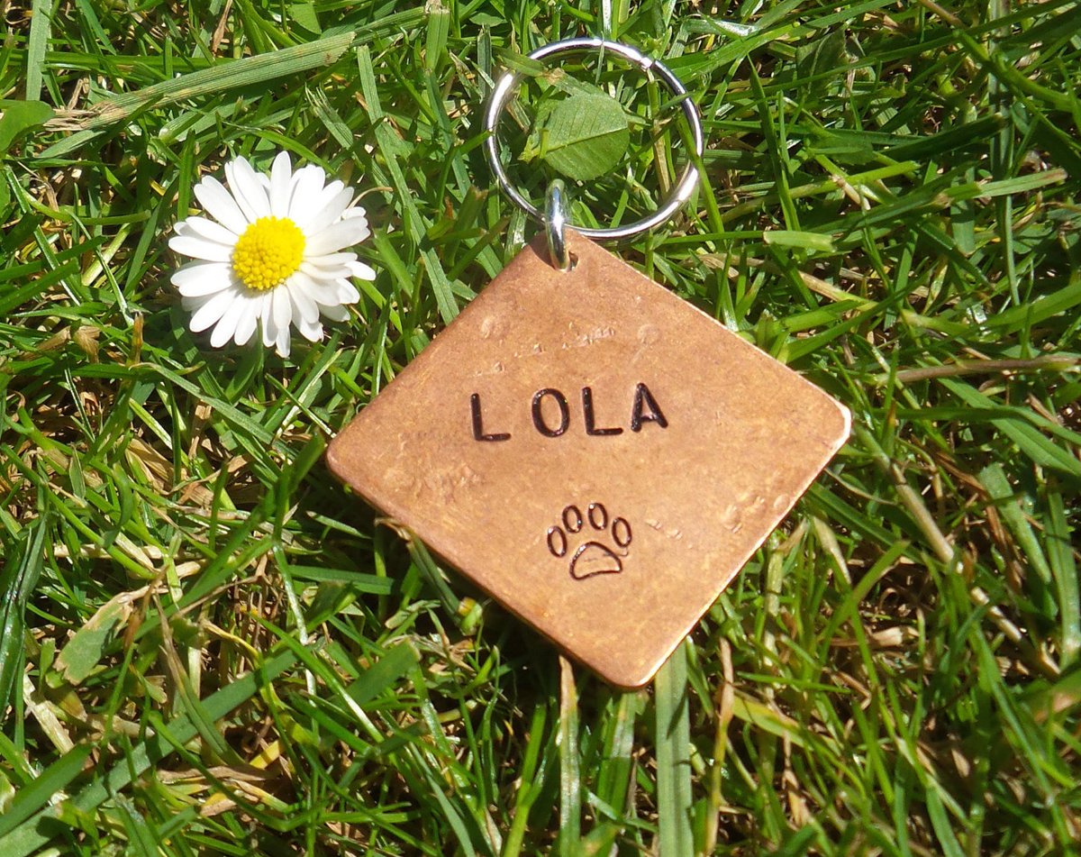 CoolKeyringsUK's tweet photo. Copper #DogTag #Personalised #Pets NAME And Number #Puppy #IDDisc Cute Accessories For #Collar or #Harness Bespoke #Charm Pendant https://t.co/5CiOJaJvtX #pets #copper #dogs #puppies #poshpups #pets #animals https://t.co/fzGanDbPB8