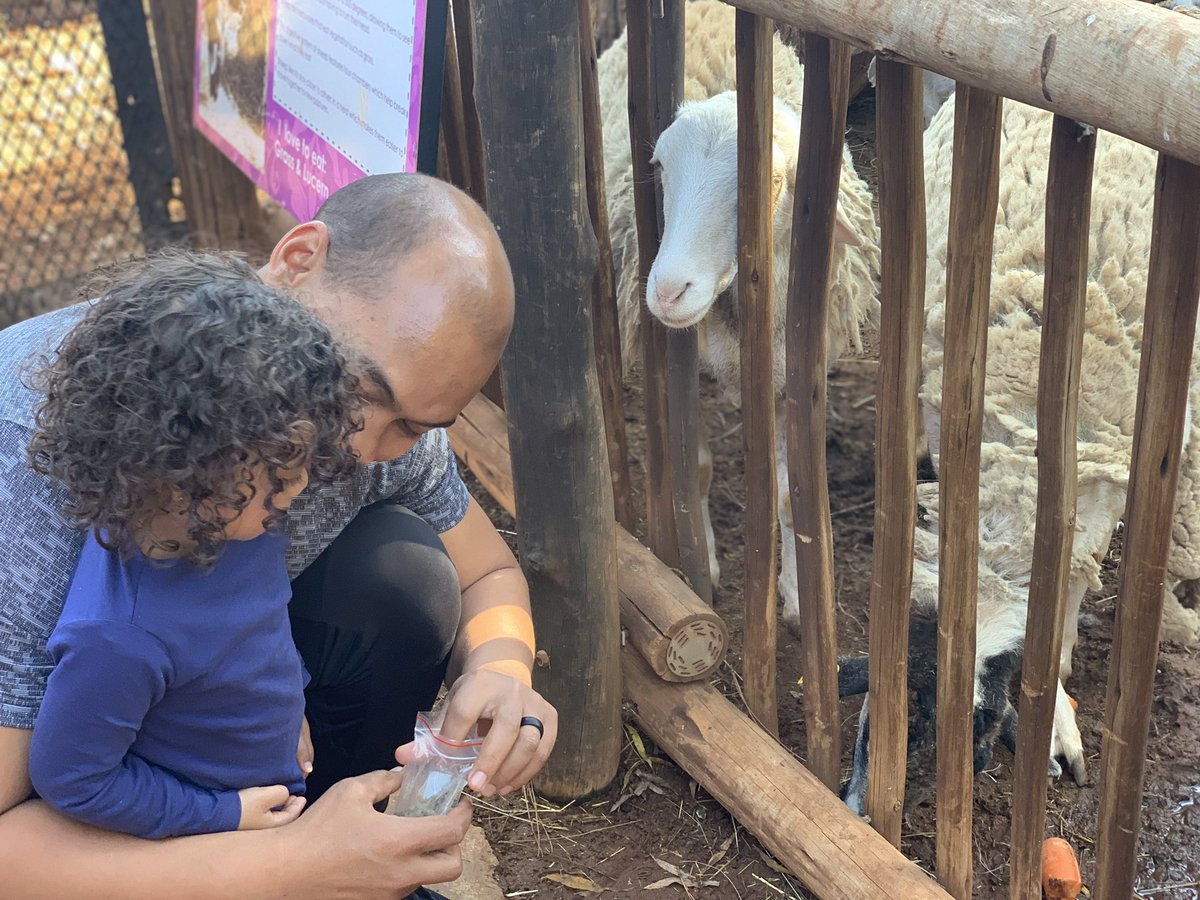 audas_vanschoor's tweet photo. Great Saturday at #LavenderMoonAnimalFarm .
I rate this place .. ⭐️⭐️⭐️⭐️
The Farm yard never disappoints 🤩
.
Mila made her #PonyRide debut
#ParentBucketlist ✅🥳🤩😂😂 🐎
#AnimalFarm #Fun #FeedingTime #Activekids #Animals #Playtime #MilaIs2Cute #Kiddies #WatchingMilaGrow https://t.co/FcWKggoCP9