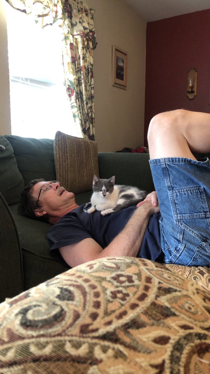 My dad: no chance we are keeping this kitten. Take it back. I don’t want to see it when I get home.
Also my dad: