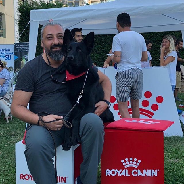 BUME888's tweet photo. @petival2019 Caddebostan https://t.co/ZMWFse7FGv https://t.co/mhYD7SWfJe