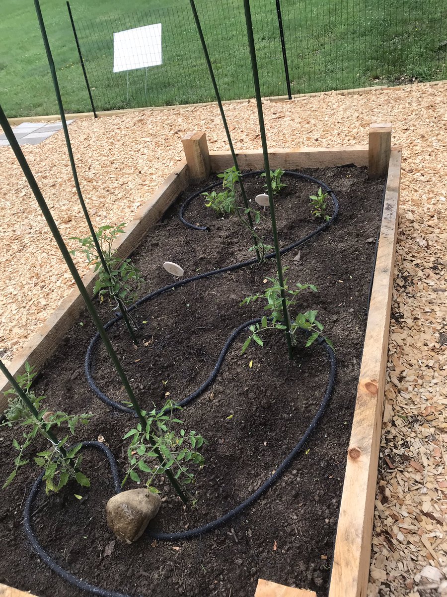 Old Colony Garden tweet media