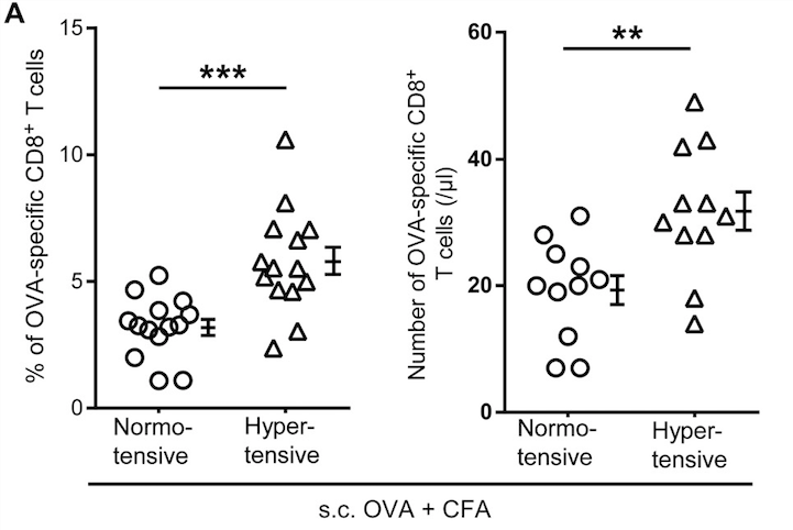 mmw_lmw's tweet photo. #Hypertension and heightened #ImmuneResponses | #AntigenSpecific and #AutoImmune responses are enhanced | Xiao Shen @ZJU_China @SciImmunology https://t.co/7hjiD149gT https://t.co/LqfSfVsmE0