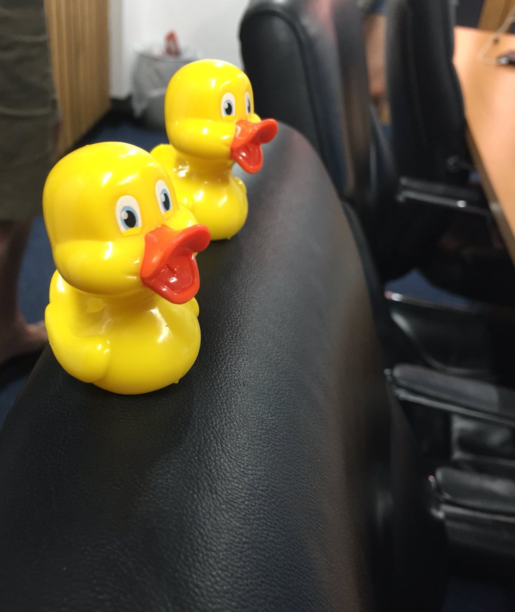 NwajeiObi's tweet photo. Preparing a quacking video! 🤩Get the camera on, this ducks are READY! 😎🎬 #HavingTheQuackOfOurLives #DucksSoonInACinemaNearYou #QuackFun #IQuackSoIHack #QuackHack2019 #LuckyDucks https://t.co/5xdnuPYa6Q