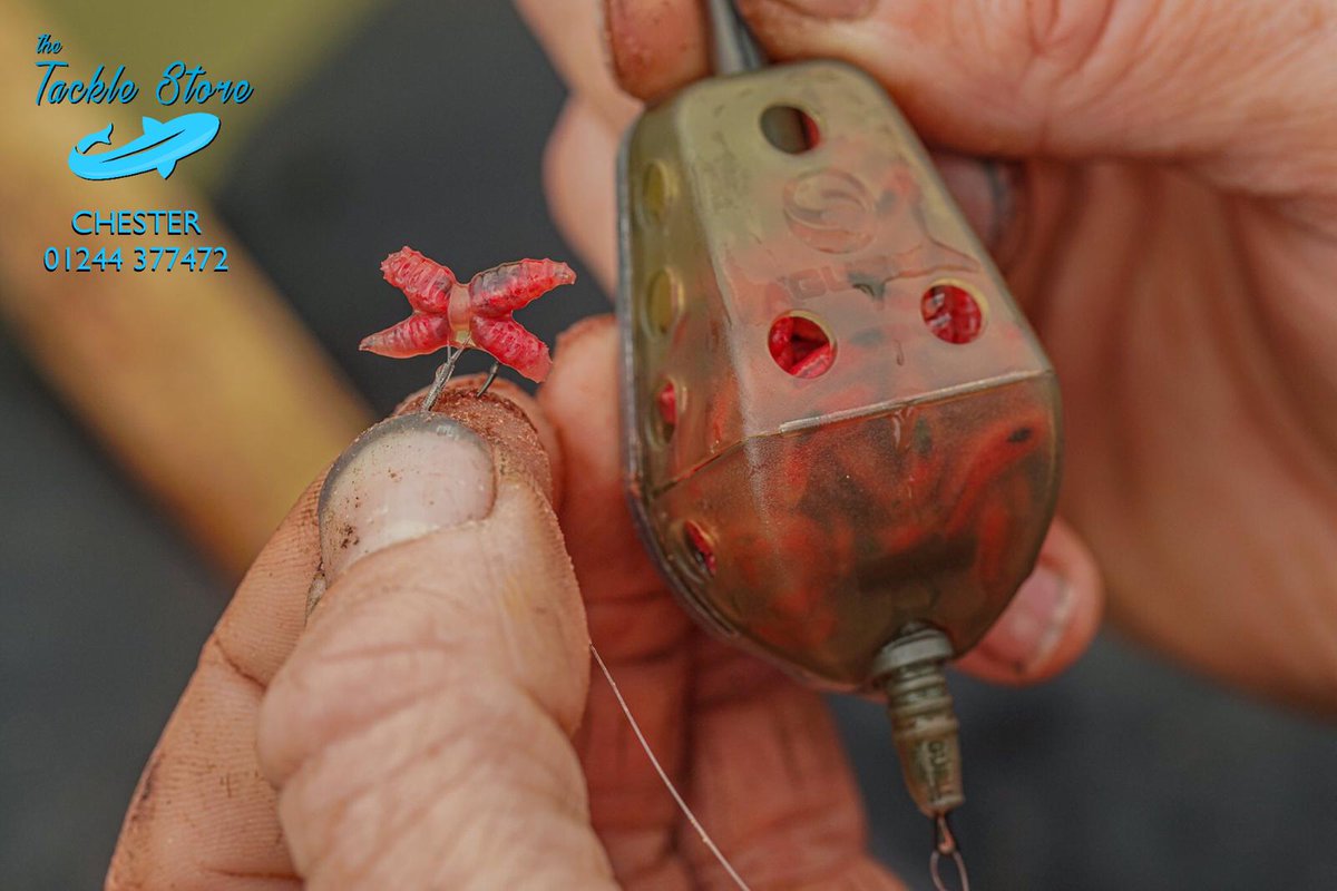 THE TACKLE STORE tweet media