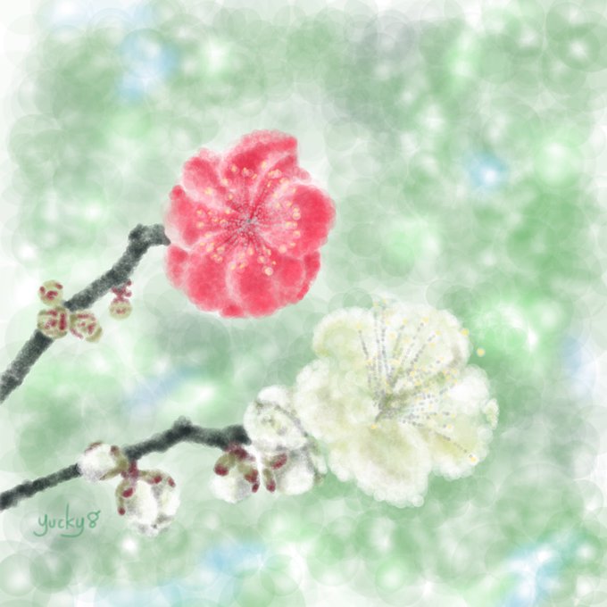 お花の絵のtwitterイラスト検索結果 古い順