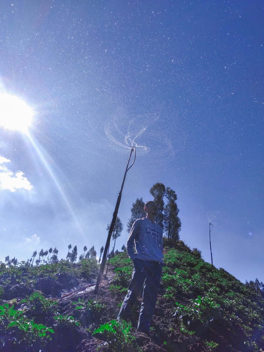 alfakhmd's tweet photo. Mereka membangun pertanian dengan membaca, Ku membangun pertanian dengan jalan-jalan 😌
#Springkle Irrigation from Potatoes Cultivation.
#MikroIrrigation https://t.co/TCTkex5O6y