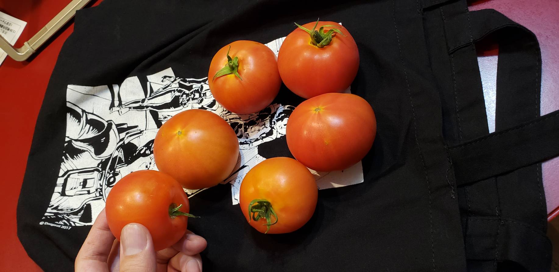 村田雄介 今日の収穫 スーパーで買ったトマトの傷んだやつを埋めたとこから生えたトマトなんだけど 本当に揃えたように元のトマトと同じサイズになった T Co 2mamneezjg Twitter