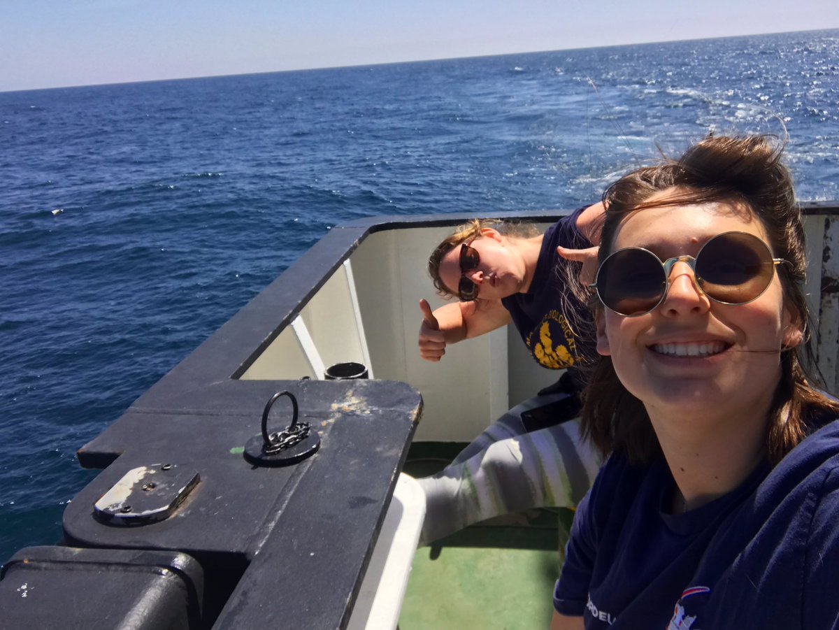 coddiepoc's tweet photo. Tad windswept on the back of Disco #pap2019 #workinghard #hardlyworking #labsontour https://t.co/86Z4Qs7vjW
