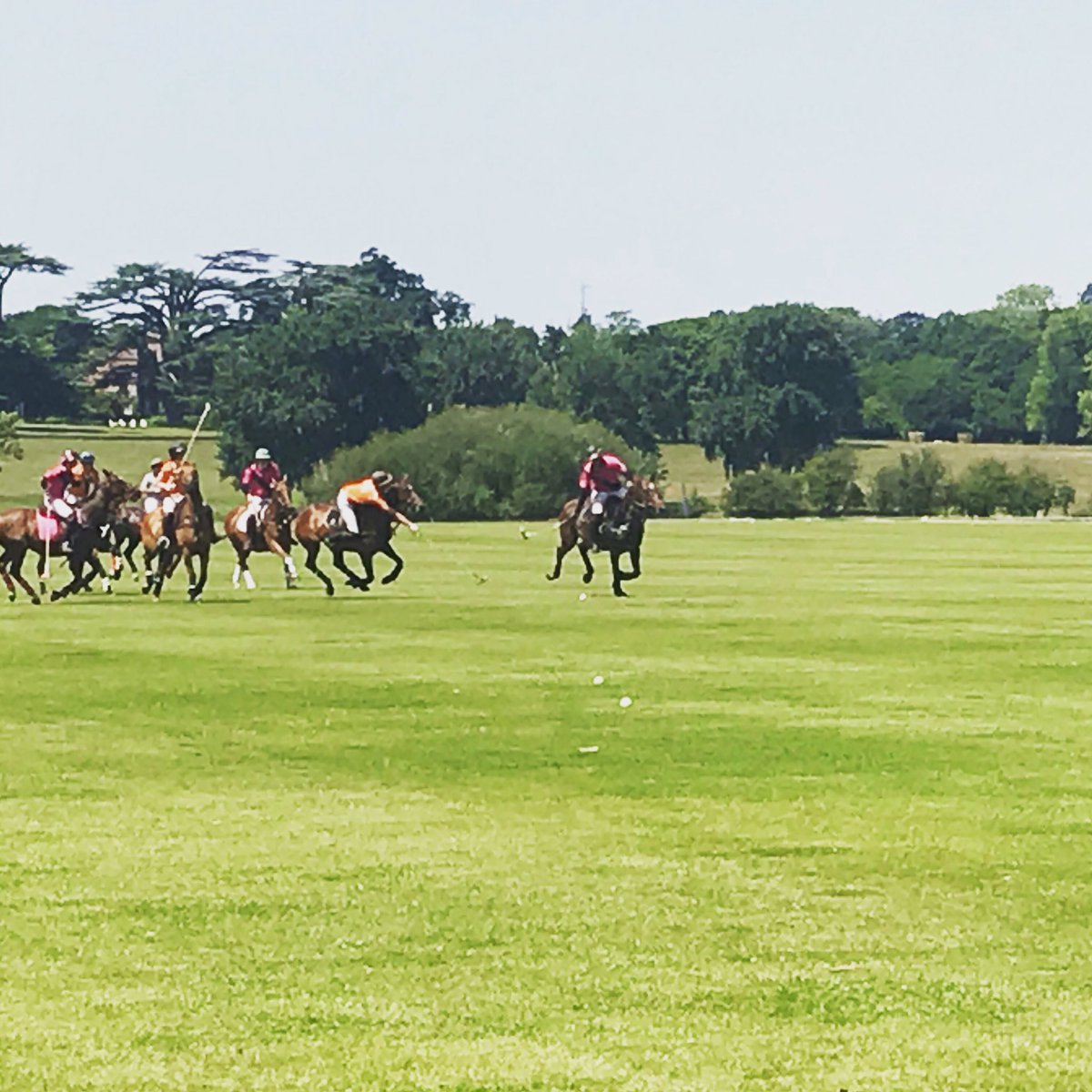 Getting ready for the Square Peg Charity polo tournament tomorrow at Knepp Castle.  Bring your picnic and sunscreen 🌞. Aspect polo club. #polo #aspectpolo <a href="/Square_Peg_/">Square Peg Consulting</a>