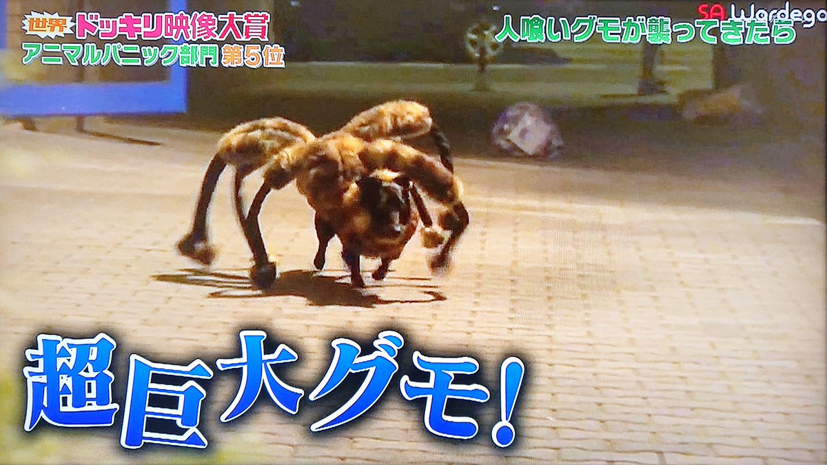 E4 B8 96 E7 95 8c Ad E6 98 A0 E5 8f E5 E8 9e Twitter Search