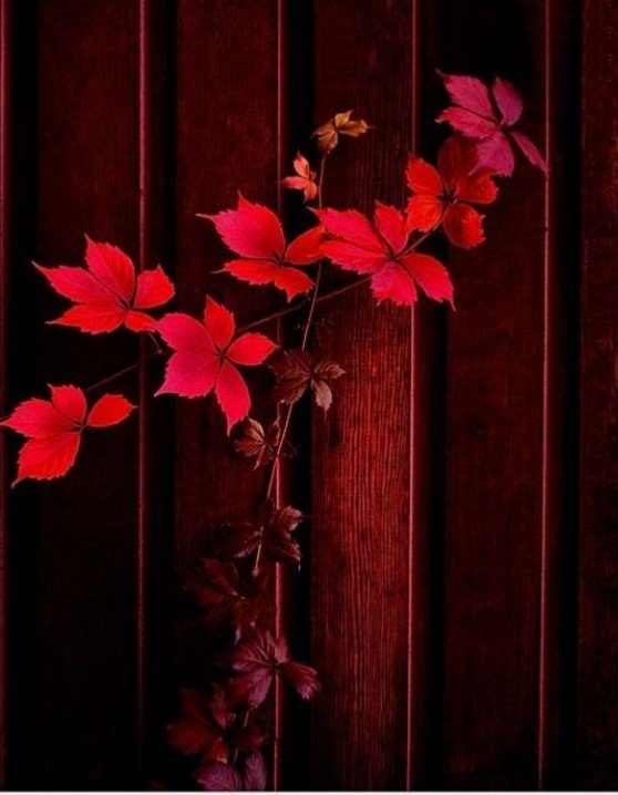 Utilidex_'s tweet image. Não julgue as pessoas pela aparência.