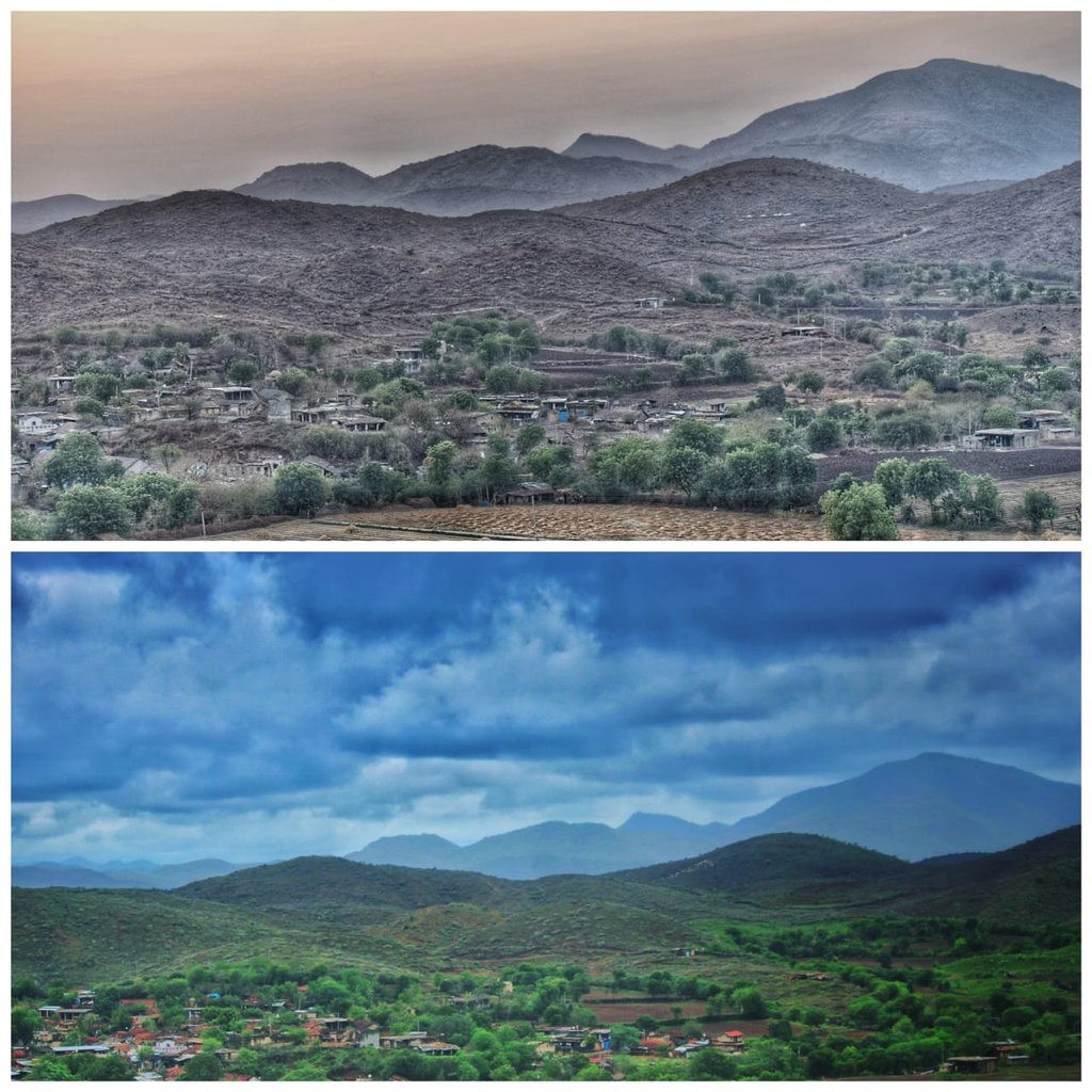 The shades of Gir.

Gir forests &amp; grasslands represent various shades of Khakhi &amp; Green colours during summer &amp; monsoon. These colours represent true spirit of forest dept.

Photo - Yasin Juneja, Forester, Gir East

<a href="/CCF_Wildlife/">CCF Wildlife Junagadh</a> <a href="/PccfWildlife/">PCCF Wildlife</a> <a href="/HoffPccf/">PCCF & HoFF, Gujarat State</a> <a href="/drrajivguptaias/">Dr Rajiv Kumar Gupta IAS (Retd)</a> <a href="/CMOGuj/">CMO Gujarat</a>
