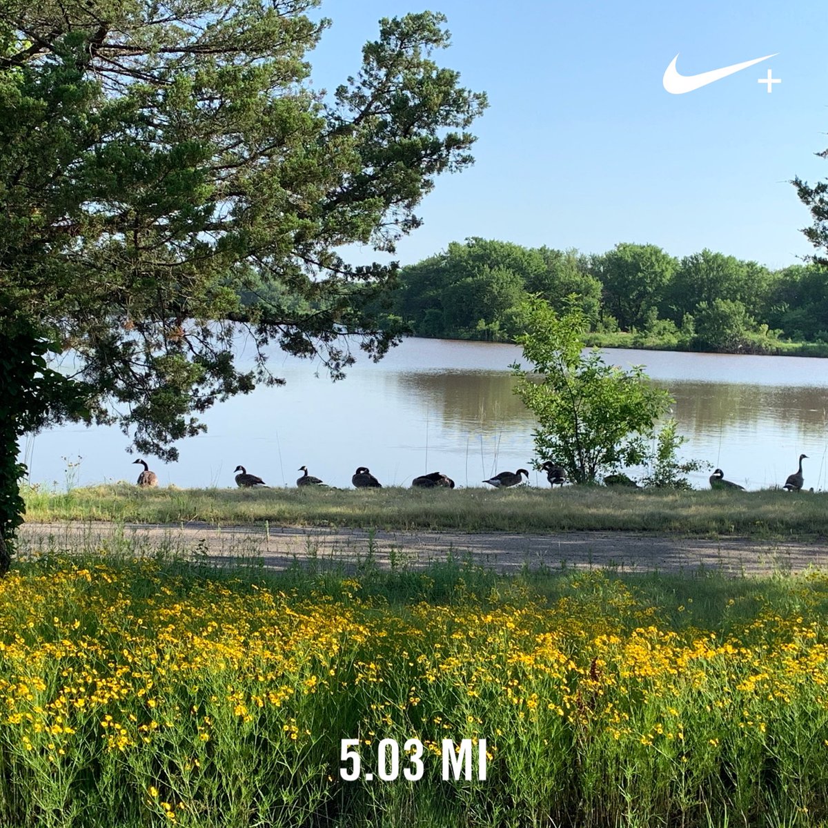 AMothersPace3's tweet photo. I was hoping this was going to be one of those awesome runs that helps let out stress (work stress) but, no, it was just a really hard run. I walked more than I wanted but 5 miles is 5 miles, right?
#runict #seenonmyrun https://t.co/YWeqtmFw05