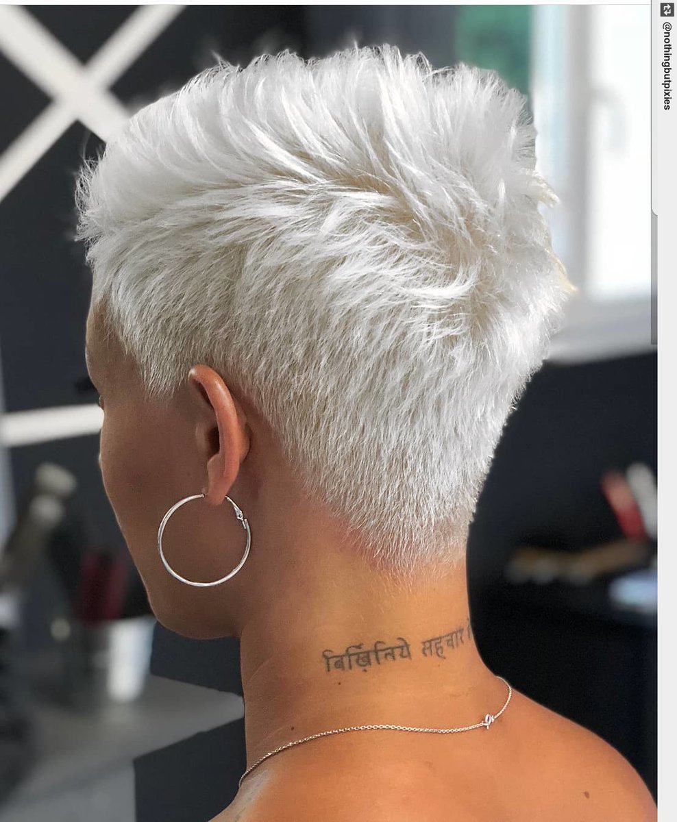 betrendsetters's tweet image. Raise some hands if you want to see this photo as a #Pixie360 ???, I just posted all angles of this cut in my stories. tips: