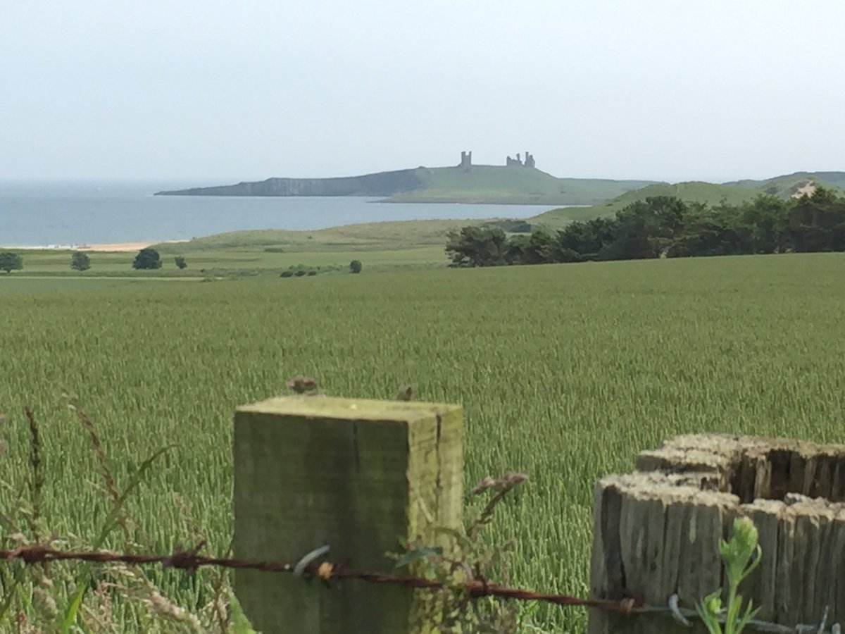 Paul Vickers the Sonification Guy tweet media