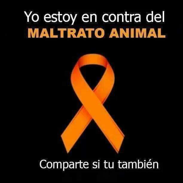 SusanSoltero tweet picture