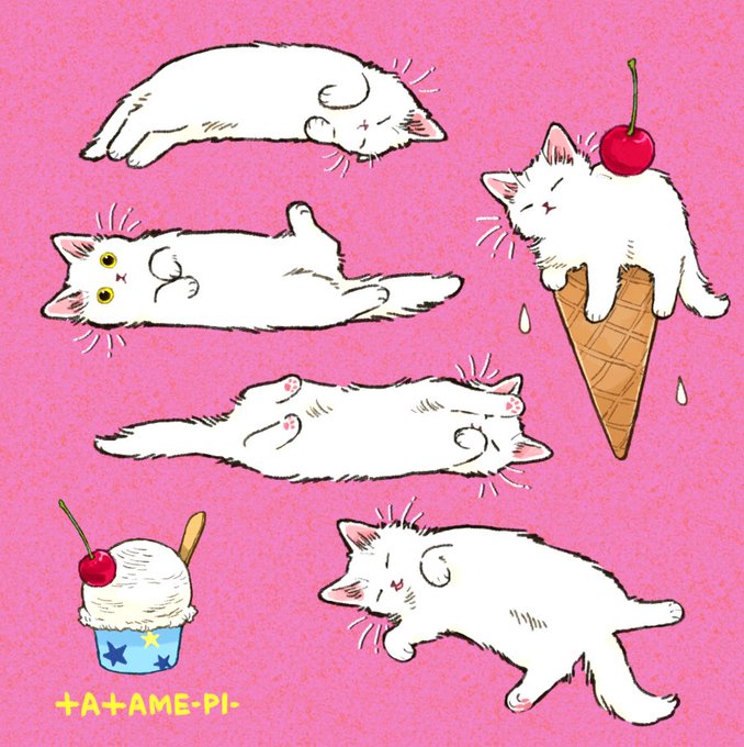 「白い猫 黄色眼」のTwitter画像/イラスト(人気順)