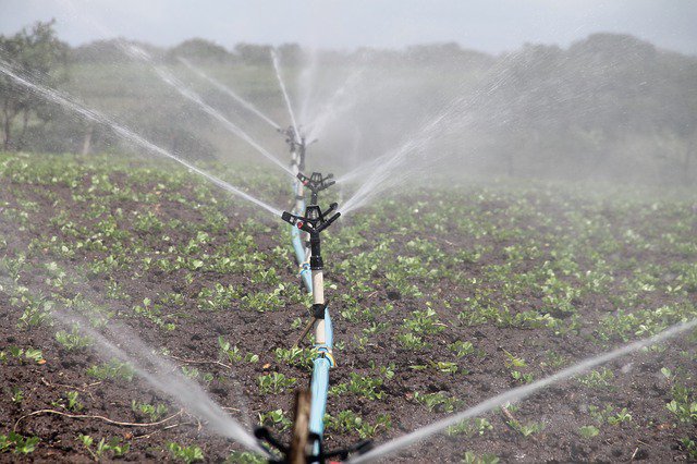 PacificInstitut's tweet photo. Outdoor #irrigation accounts for approximately 60% of urban water consumption in California, so reducing inefficient outdoor use is a key component of many strategies to reduce #urbanwater use: https://t.co/qkWz8hdn7I https://t.co/N9Cn1AN4uV