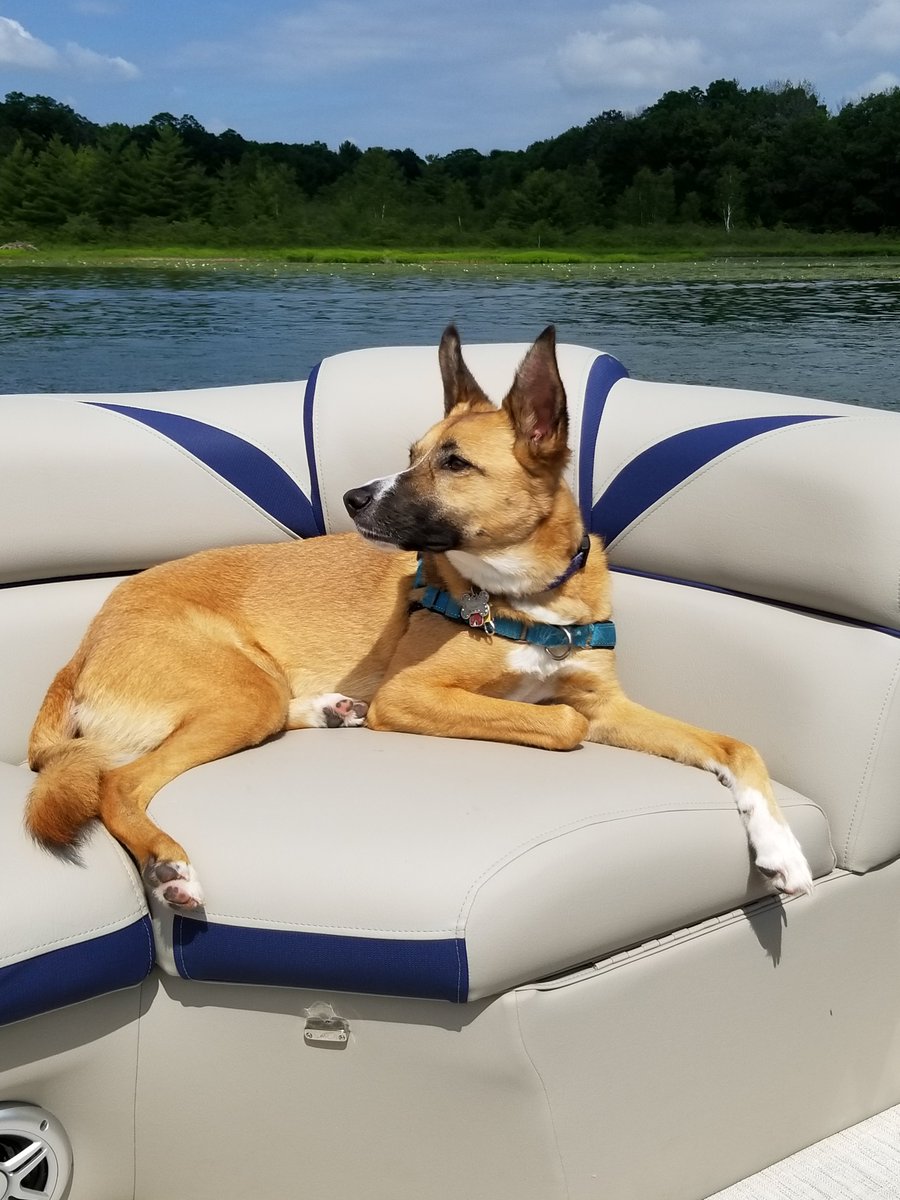 MsDMonty's tweet photo. Taking my summer learning on the boat today #d300learns https://t.co/x48JvgHnDY