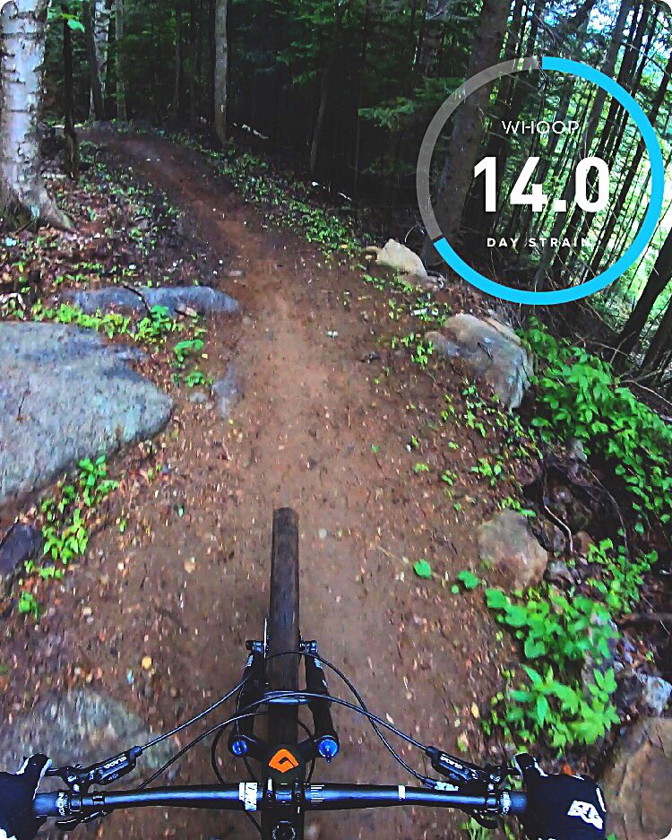 Oh you know, just getting my morning #strain in. The <a href="/whoop/">WHOOP</a> 3.0 does not disappoint!