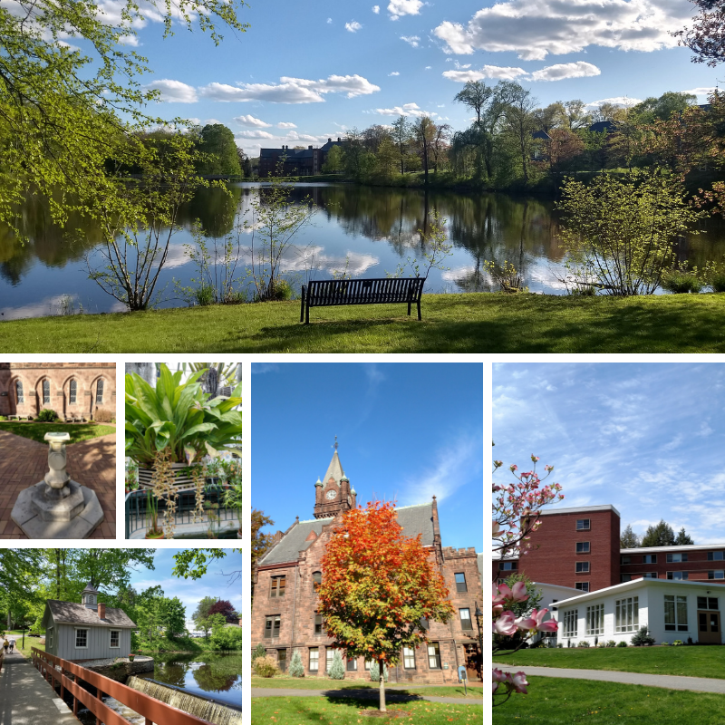 mtholyoke's tweet photo. The countdown is on - two days left to make a gift this fiscal year.  We challenge our students every day to reach their highest potential. We need your support to help get them there. Make your gift at https://t.co/nw0dz8pz6r. https://t.co/4GmcpiRod3
