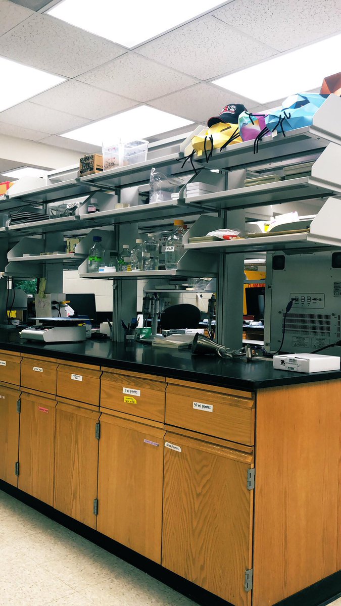 sadie723's tweet image. With five days of surgeries in a row starting tomorrow, I’d rather be anywhere but here. But alas, here I am #thegrindneverstops #trynagraduate