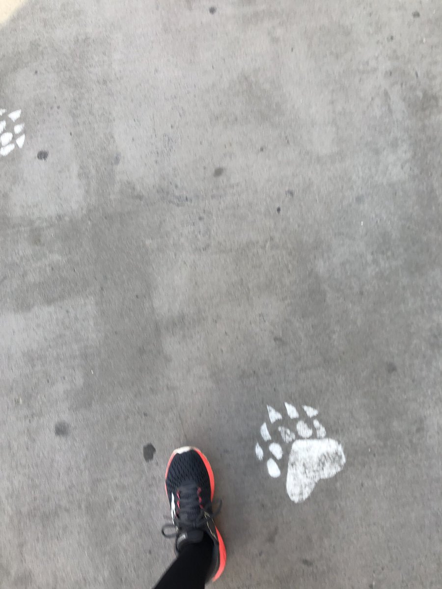 ckittiesprint's tweet photo. At the Start Line for the @MslaMarathon 5K! 🙌🏽
#MissoulaMaraBR #RunWildMissoula #MissoulaMarathon #BibChat #5K #RunMT https://t.co/dysi5Xyj9l