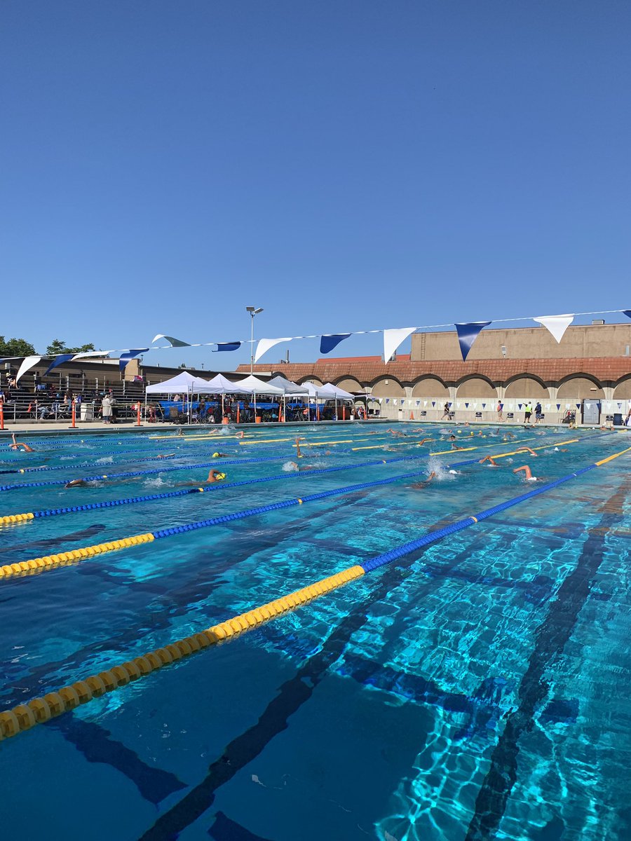 Otter Plunge is underway! 🏊‍♀️ 🏊🏼‍♂️ ☀️