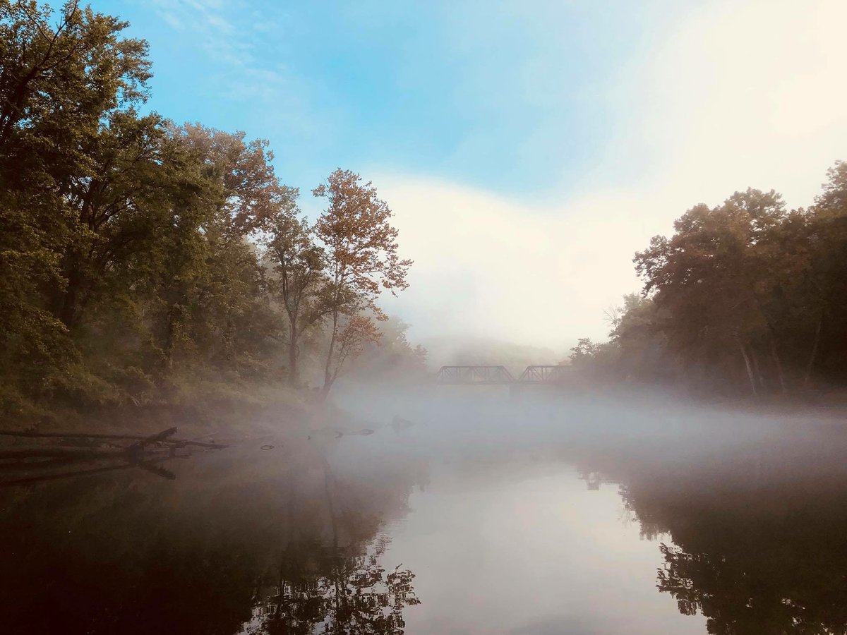 MjErob88's tweet photo. @tnwildlife #cloverbottom #caneyfork https://t.co/NXdyy83ShF