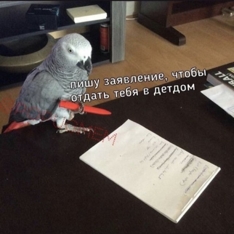 Смешные картинки с надписями. Кто то отправляется в. Мотиваторы. Кто то отправляется в. Кто то отправляется в.