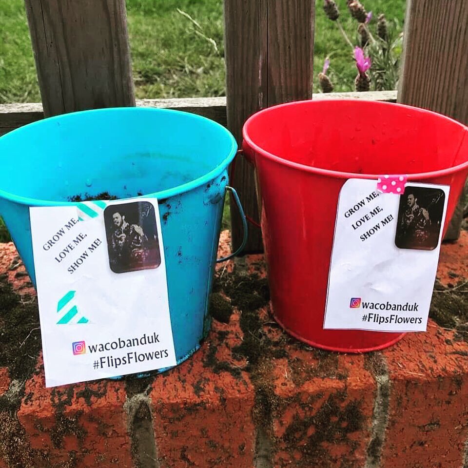 WacoBandUK's tweet image. Thanks to everyone who’s donated to #FlipsFlowers so far. We’ve raised a nice amount for the charity @TogetherMW.
We’ve got the last few seeds available on our Bandcamp page (wacoband.bandcamp.com/merch) and some will be available at our show tomorrow in New Cross. Big up yourselves.