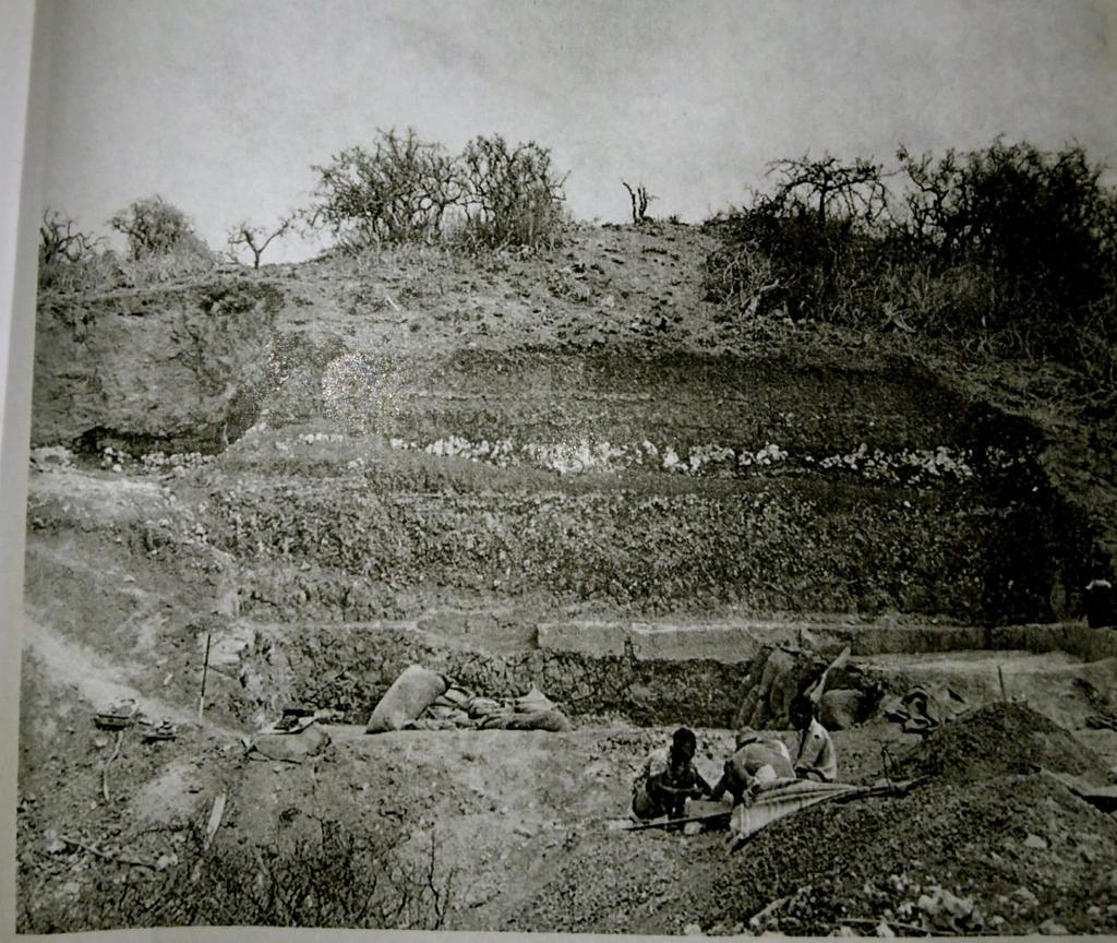 IDEAolduvai's tweet photo. Two different views of FLK North (Uppermost Bed I). Leakey excavation 1960 and TOPPP excavation, today.
@AGidna https://t.co/th0r8Zr0WI