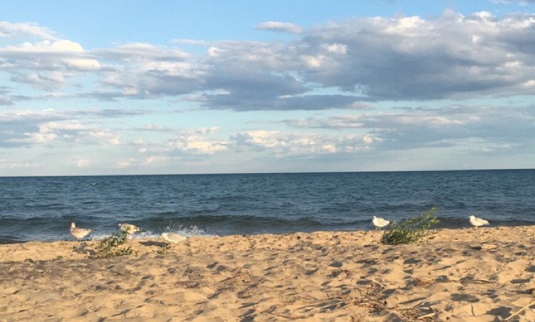 ComcastKY's tweet photo. Before heading to the beach, download your favorite TV shows and movies to your mobile device so you can bask in the sun without wasting your data. #SummerTechTips https://t.co/M0u0uN13WY