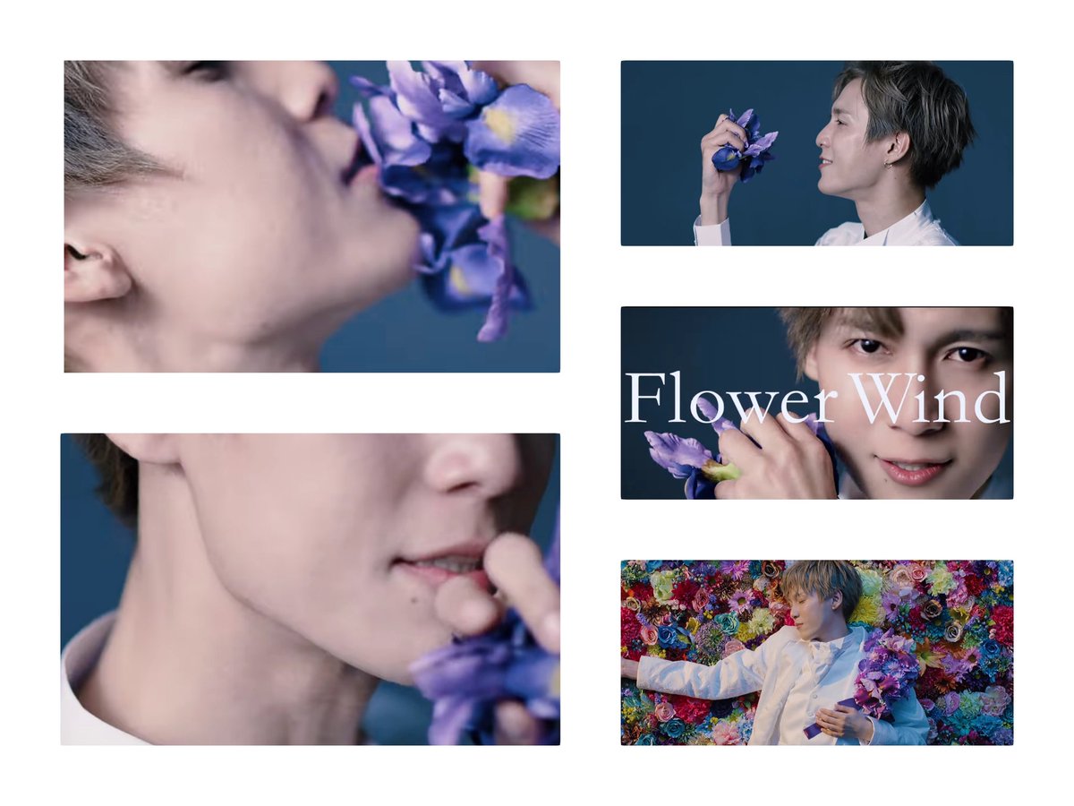 omochi260's tweet photo. 100万再生記念に✨
世界中の誰よりもキレイだよ
(Yeah! Hoo,hoo! )

#FlowerWind
#mesemoa
#めせもあ
#ノックソ
#やっぱノックソだなー https://t.co/irIMMBazkh