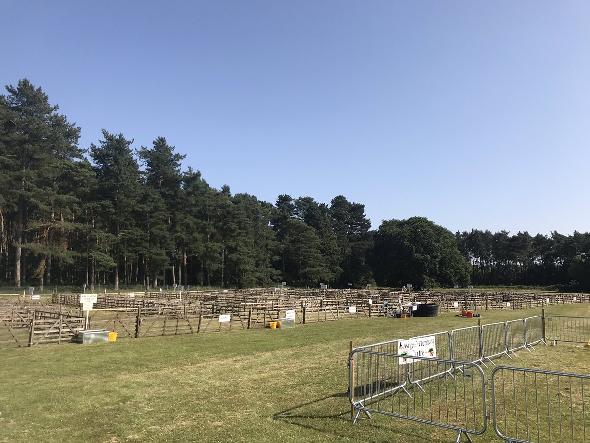 Malton Show tweet media