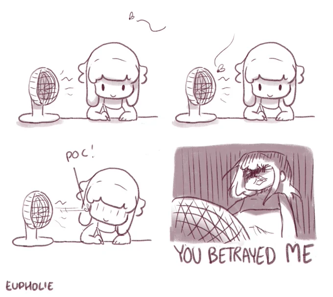 complicité mouche + ventilateur 