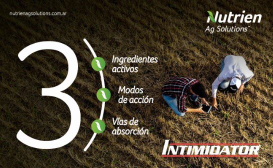 LovelandAR's tweet photo. Se viene #INTIMIDATOR el mejor herbicida pre emergente para soja del mercado. Triple mezcla y el poder de 3 x 3 💪💪💪 “Loveland Get Growing” #NutrienAgSolutions https://t.co/G1Dhh6FuL0